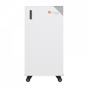 Felicity-FLB48314TG1