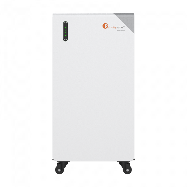 Felicity-FLB48314TG1