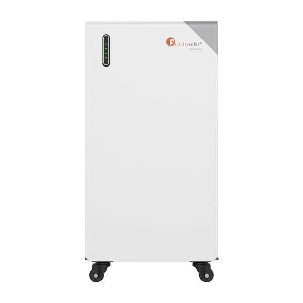 Felicity-FLB48314TG1-H