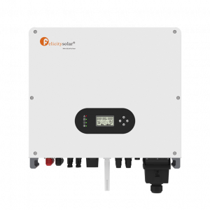 Felicity-T-REX-4.6/5/6KLP1G01
