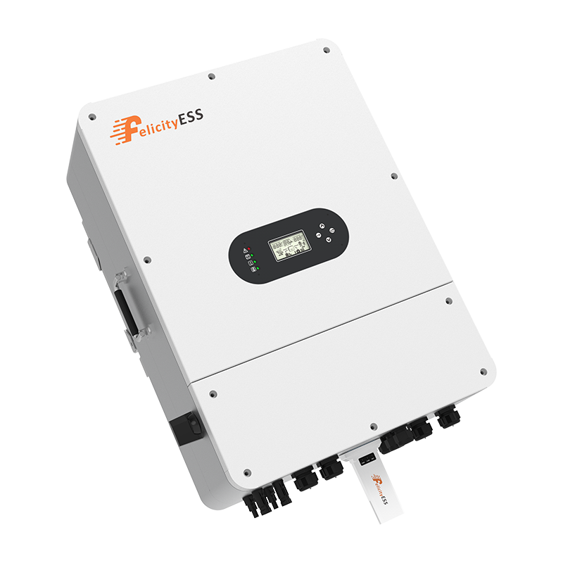 Felicity-T-REX-10KLP3G01 - Image 6